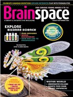Brainspace
